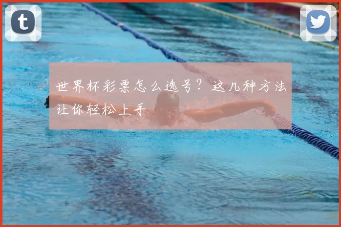 世界杯彩票怎么选号?这几种方法让你轻松上手