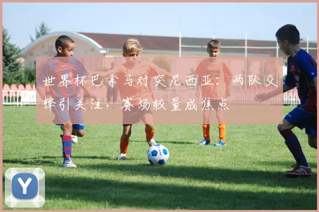 世界杯巴拿马对突尼西亚:两队交锋引关注,赛场较量成焦点