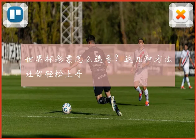 世界杯彩票怎么选号?这几种方法让你轻松上手