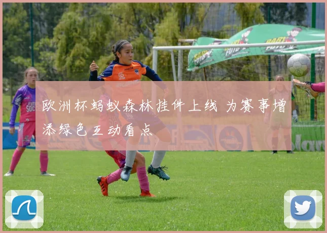 欧洲杯蚂蚁森林挂件上线 为赛事增添绿色互动看点